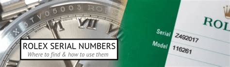 Rolex Serial Numbers Lookup • Find & Understand Them 